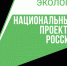 Рассказываем, как высадить деревья в память о героях Великой Отечественной войны - Газета Вместе с вами